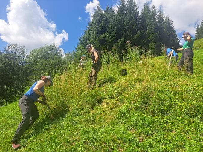Mit anpacken im Naturpark