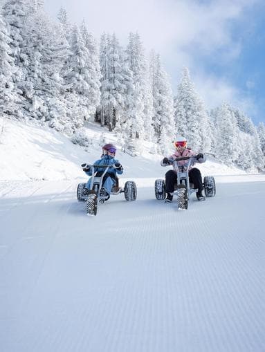 Early Winter Mountaincart