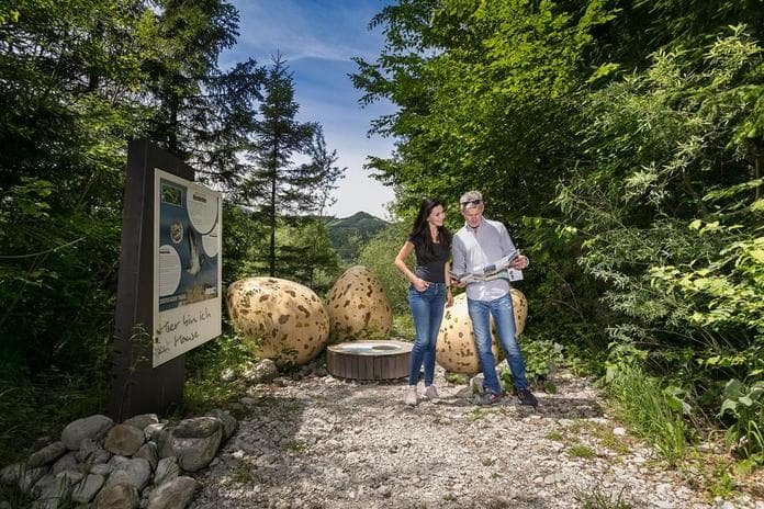 Geführte Wanderung entlang der "Lebensader Taugl"