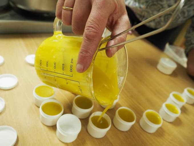 Vorbeugen und Heilen mit den Produkten der Biene - Apitherapie