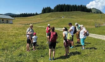 Almblumen-Wanderung auf der Postalm, Abfahrt Abtenau Ortsmitte