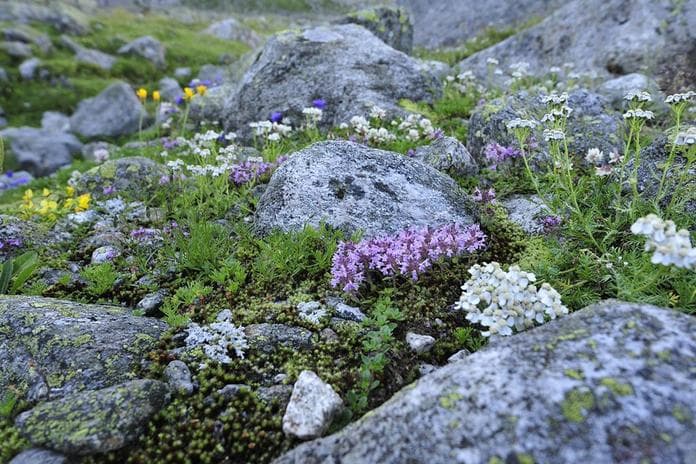 Erlebnis Honigbienen