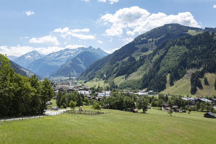 60 Jahre Jubiläumsausstellung Schafrassen Mitterpinzgau