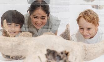 Expertenführung »BronzeZeit«