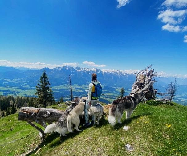 Individuelle Husky-Tour