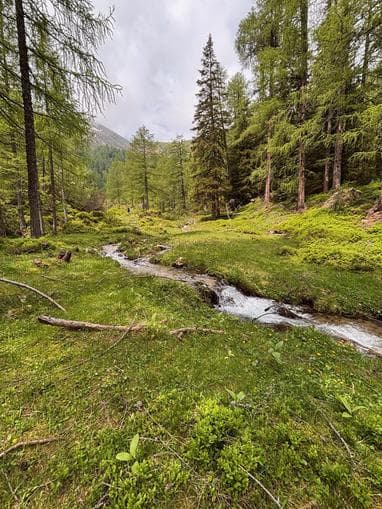 Geführte Tour - Natur als Rezept