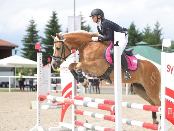 Bundesmeisterschaft der Haflinger - Dressur & Springen