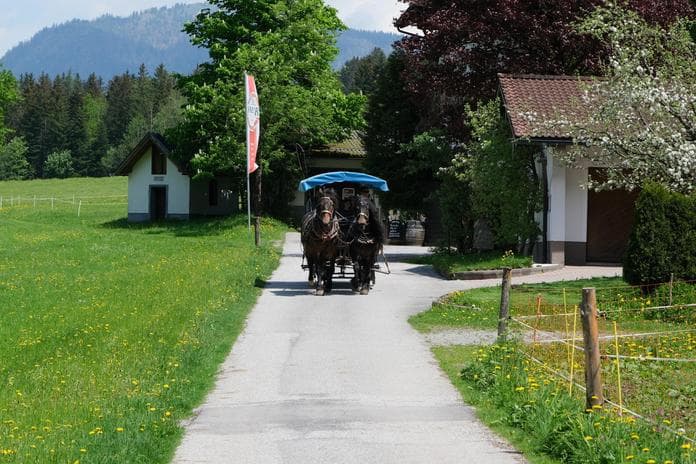 Pferdekutschenfahrt