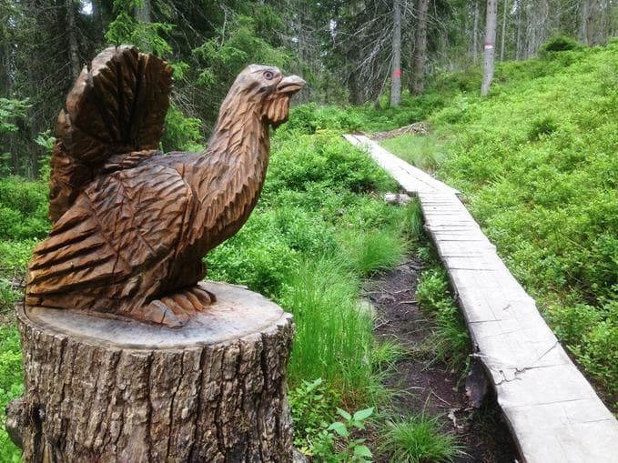 Familienwanderung am Schnitzerweg der Tiere