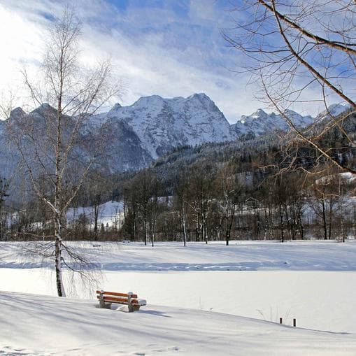 Weihnachtsräuchern am Bürgerausee