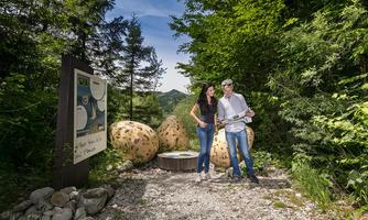 Geführte Wanderung entlang der "Lebensader Taugl"