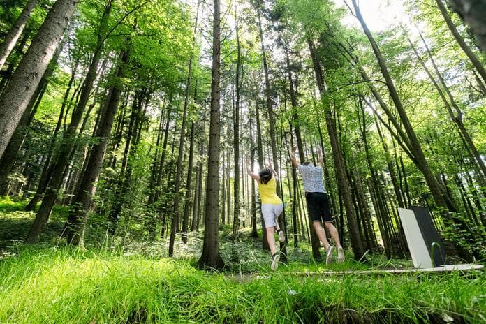 Waldbaden - Erlebnis für alle Sinne!