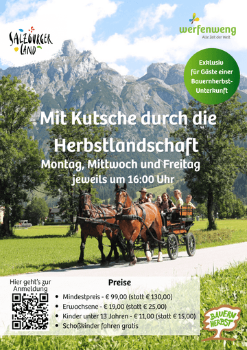Bauernherbst Pferdekutschenfahrt