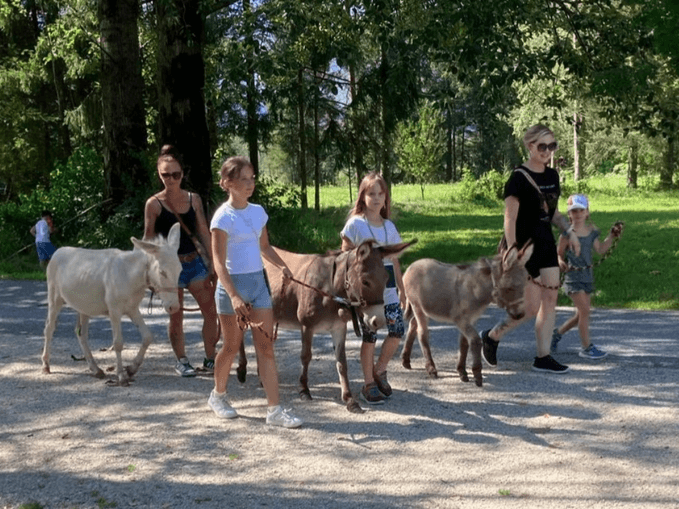 Eselwanderung in Eschenau