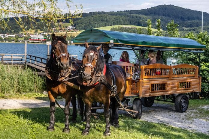 Trumer-Seen-Triathlon - mit Pferden, Schiff und Schnitzel...