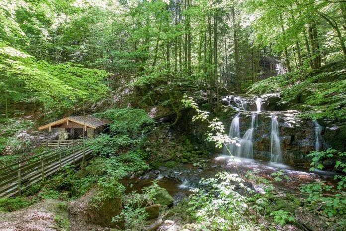 Wildkargraben-Trip. Geführte Wanderung