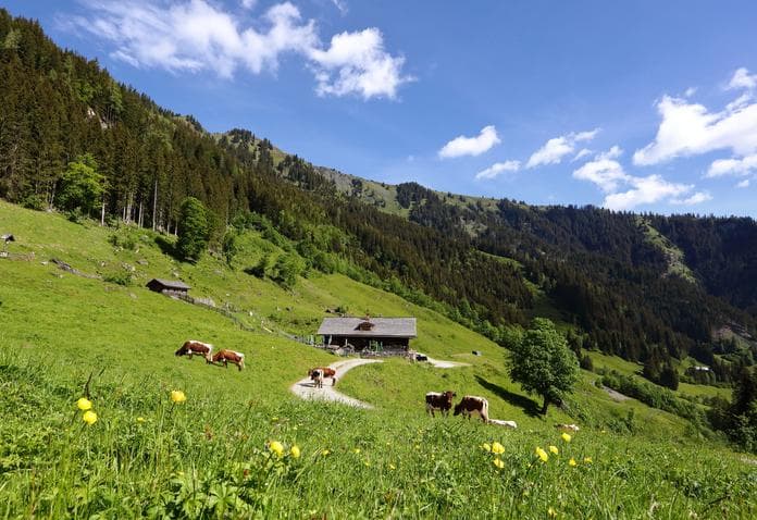 Taxi-Almfahrt zur Aigenalm-Paulhütte, 1.280 m
