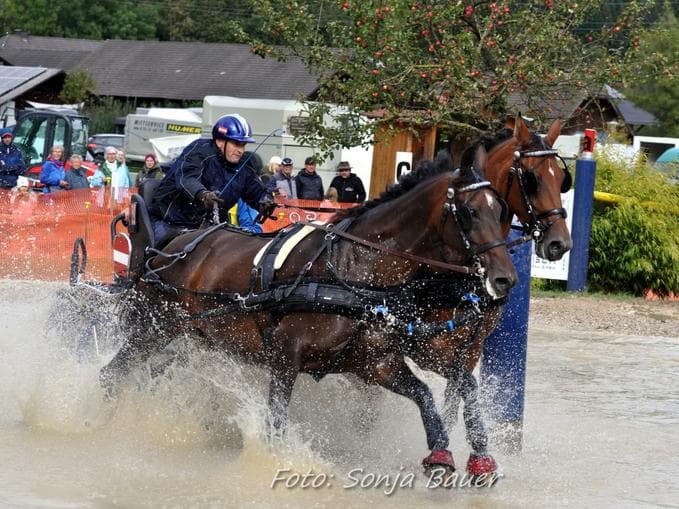 Fahrturnier der Extraklasse - URC Waidach