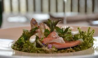 KOCHKURS "Wiesenkulinarik-den Geschmack der Natur erleben"