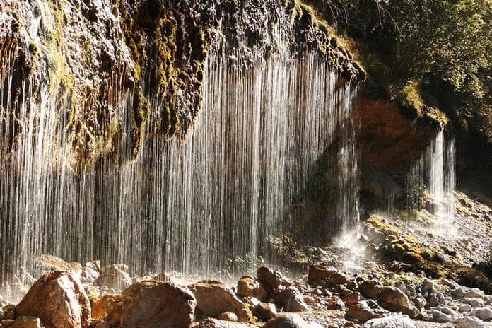 Kinderprogramm - Wald, Wasser, wilde Tiere