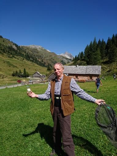 Entdecken Sie die alpinen Hummeln
