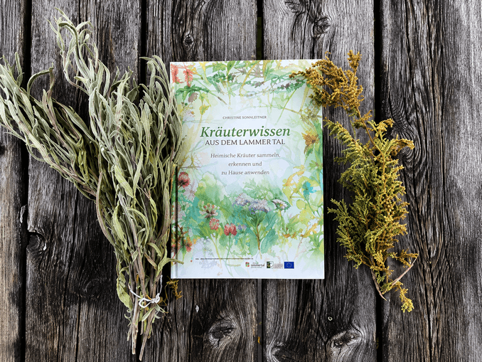 Kräuterspaziergang und die Vielfalt der Natur