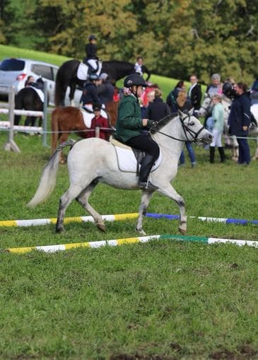 Pferde Sport & Spiel