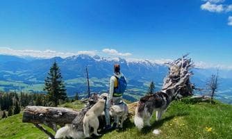 Sonnenaufgang-Huskytour für Frühaufsteher