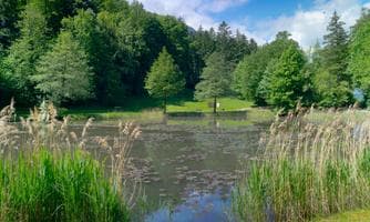 See Beats am Egelsee