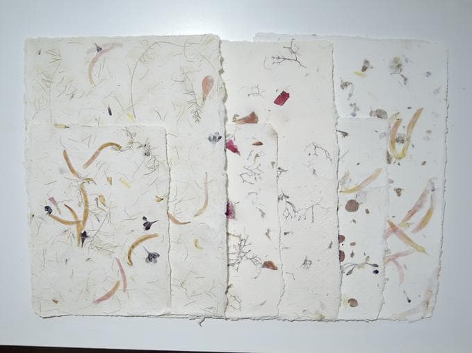 Herbstblütenpapier schöpfen