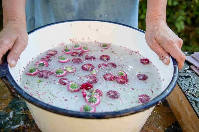 Sommerblütenpapier schöpfen
