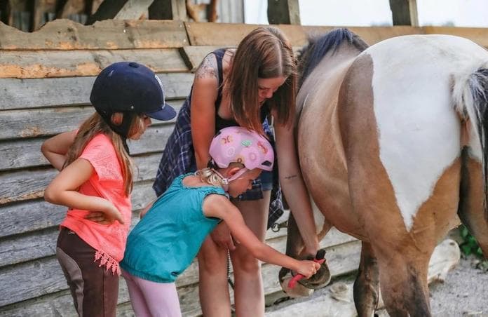 Become a Horse Whisperer at Biohof Strohbichler