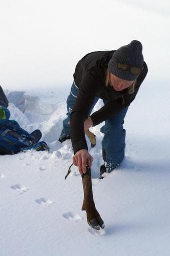 Winter Erlebnisse - Den Wildtieren auf der Spur