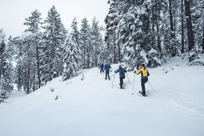 Winter Erlebnisse - Schneeschuhwanderung (Fortgeschrittene)