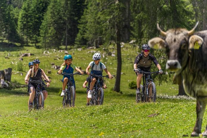 Geführte E-Bike Schnuppertour (leicht)