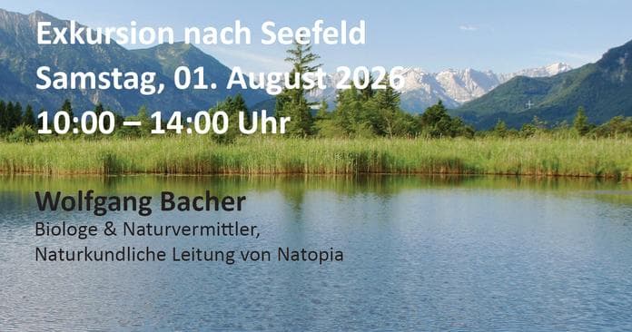 Emotion: Speicherwunder Moor