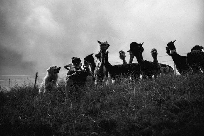 Lama Trekking „Panoramatour“