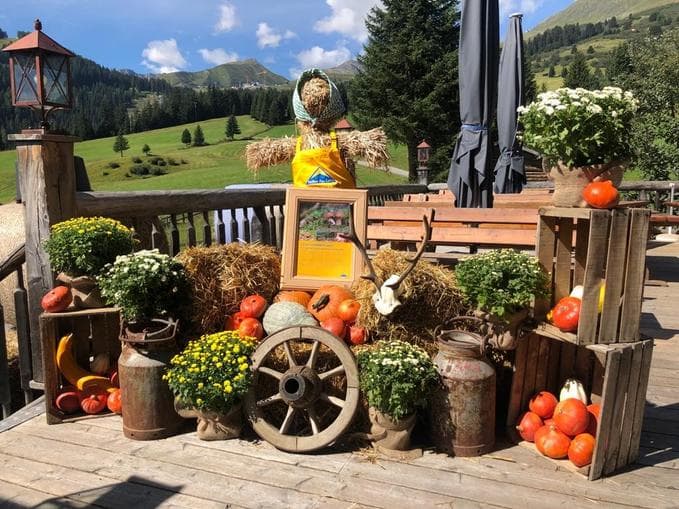 Kochkurs im Restaurant Leithe Wirt