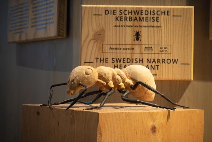 *Einzigartiges Naturerbe Ötztal – Führung im Naturpark Haus