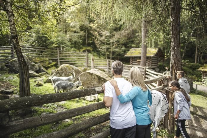Half-day Stone Age Experience Day for Children