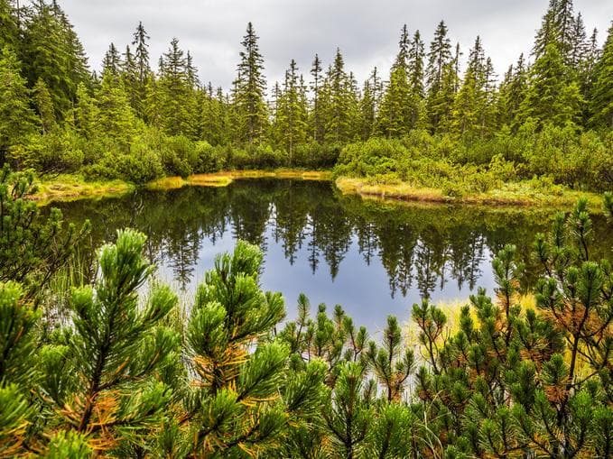Geführte Genusswanderung "Schwarze Lacke"