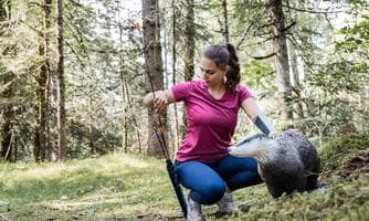 Eintritt 3D-Jagdbogen-Parcours EA