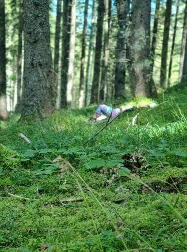 Atemzug Natur – Waldbaden mit allen Sinnen