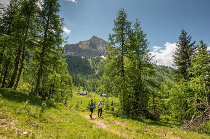 Geführte Wanderung: Bio-Bergrestaurant Lumberjack über Moosalm
