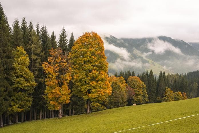 Geführte Herbstwanderung auf dem Bauernregelweg