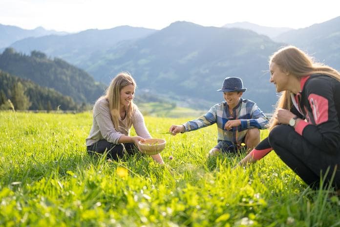 JO Xund & Fit Geführte Tour Natur & Wandern