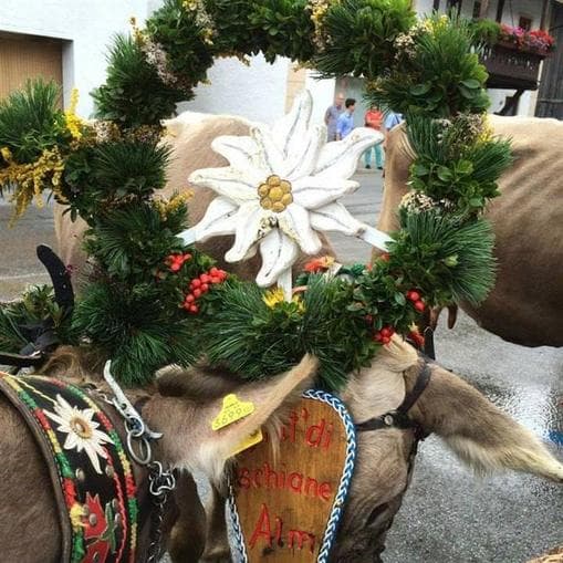 ECHT STUBAI - Herbsthighlights - Almabtrieb mit Almfest der JB Telfes