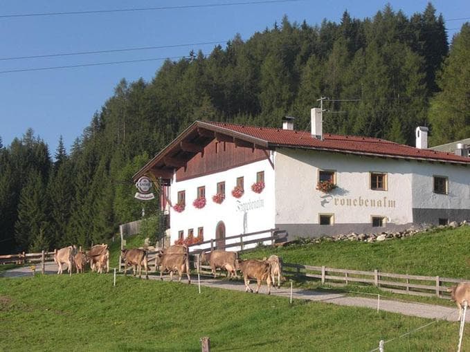 Bergfrühstück auf der Froneben Alm