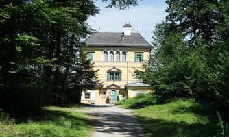 Kostenlose Freitags-Führung: Edelweiß forever