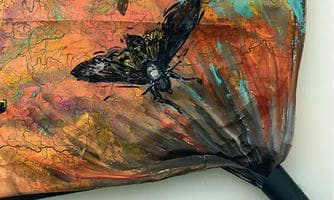 Herwig Geroldinger: Creaturas